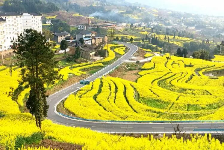 1770343426294485.jpg 003.jpg