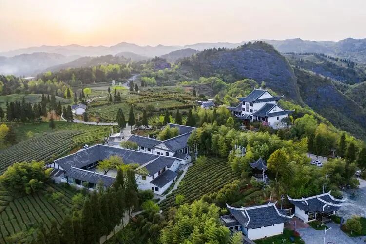 1770343458768169.jpg 001.jpg