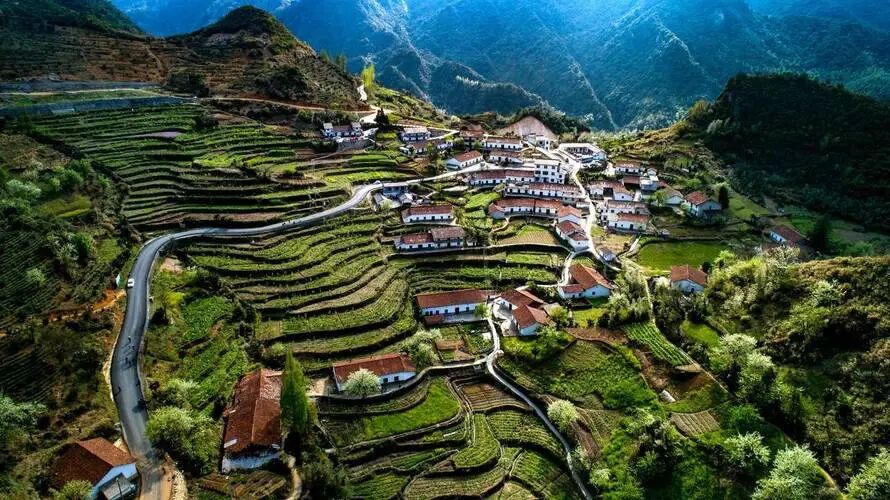 1770343483152864.jpg 002.jpg